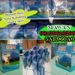 Jual Susu Kambing Etawa Bubuk Sheep Brand Di Medan